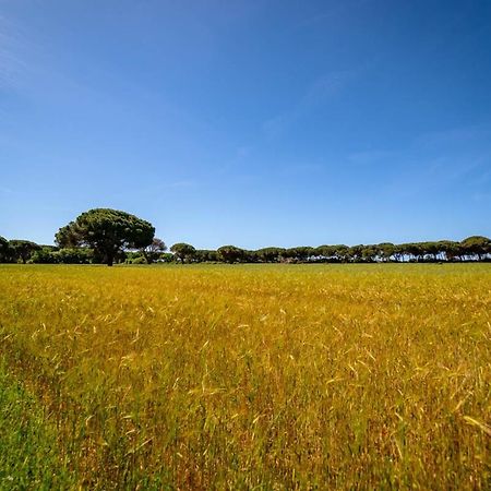 Agriturismo Bio Femminella Принчипина-а-Маре Экстерьер фото
