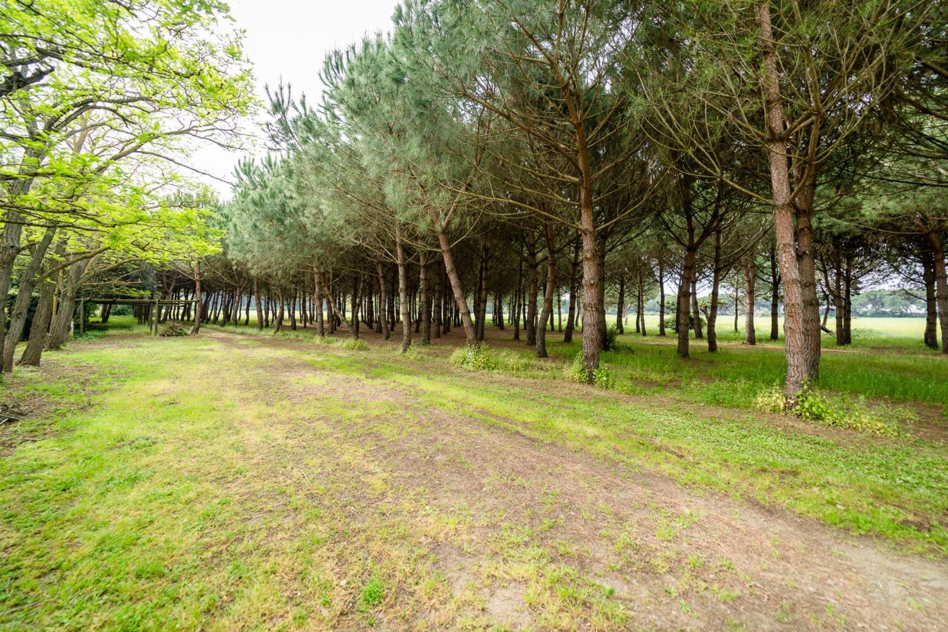 Agriturismo Bio Femminella Принчипина-а-Маре Экстерьер фото